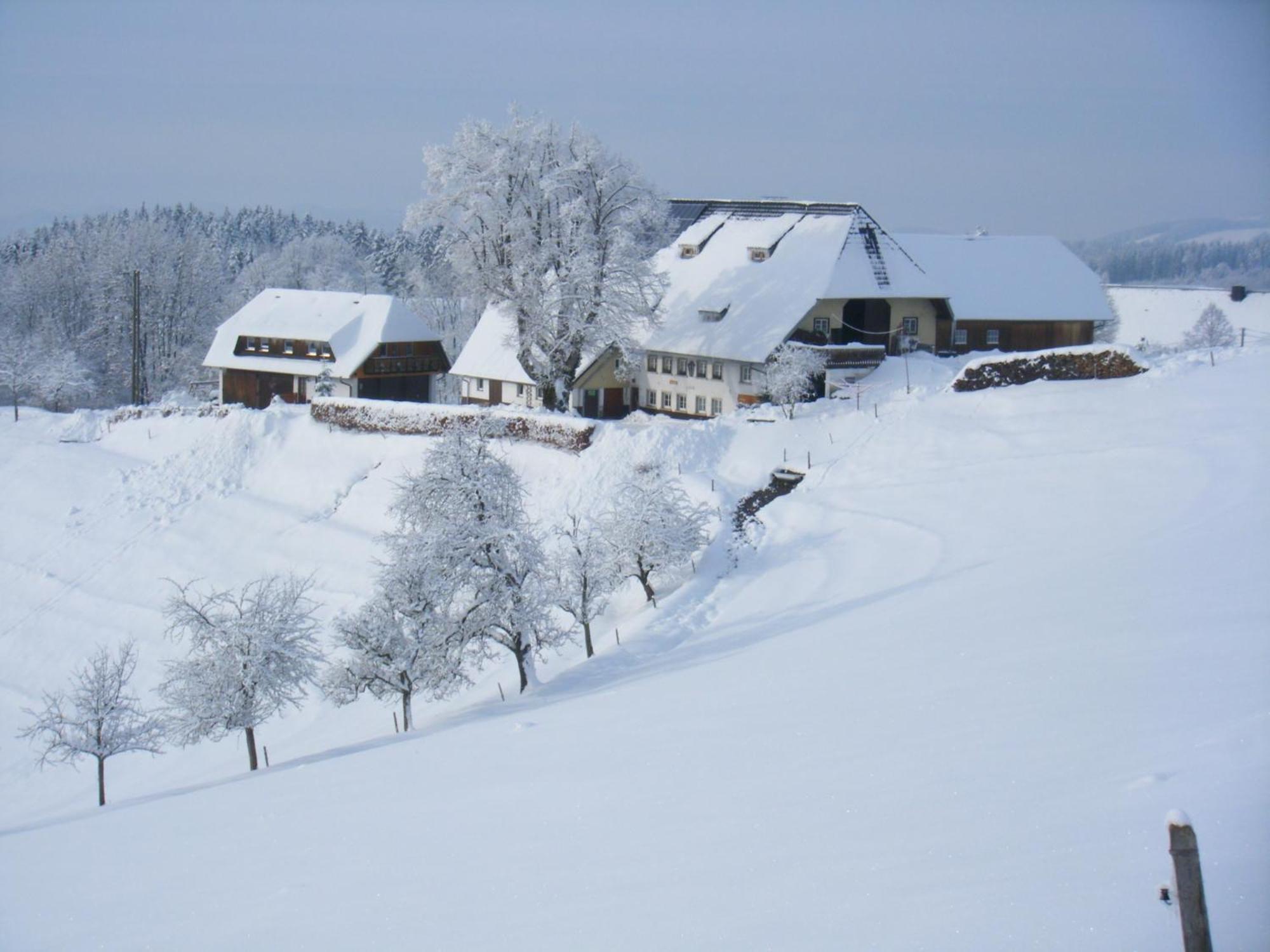 Brosihof Apartamento Erlenbach  Exterior foto