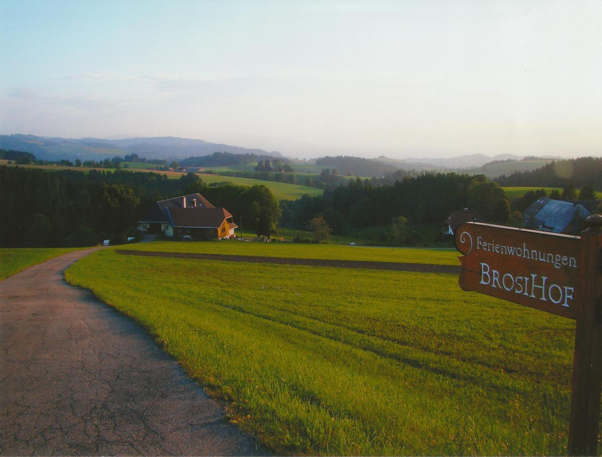 Brosihof Apartamento Erlenbach  Exterior foto