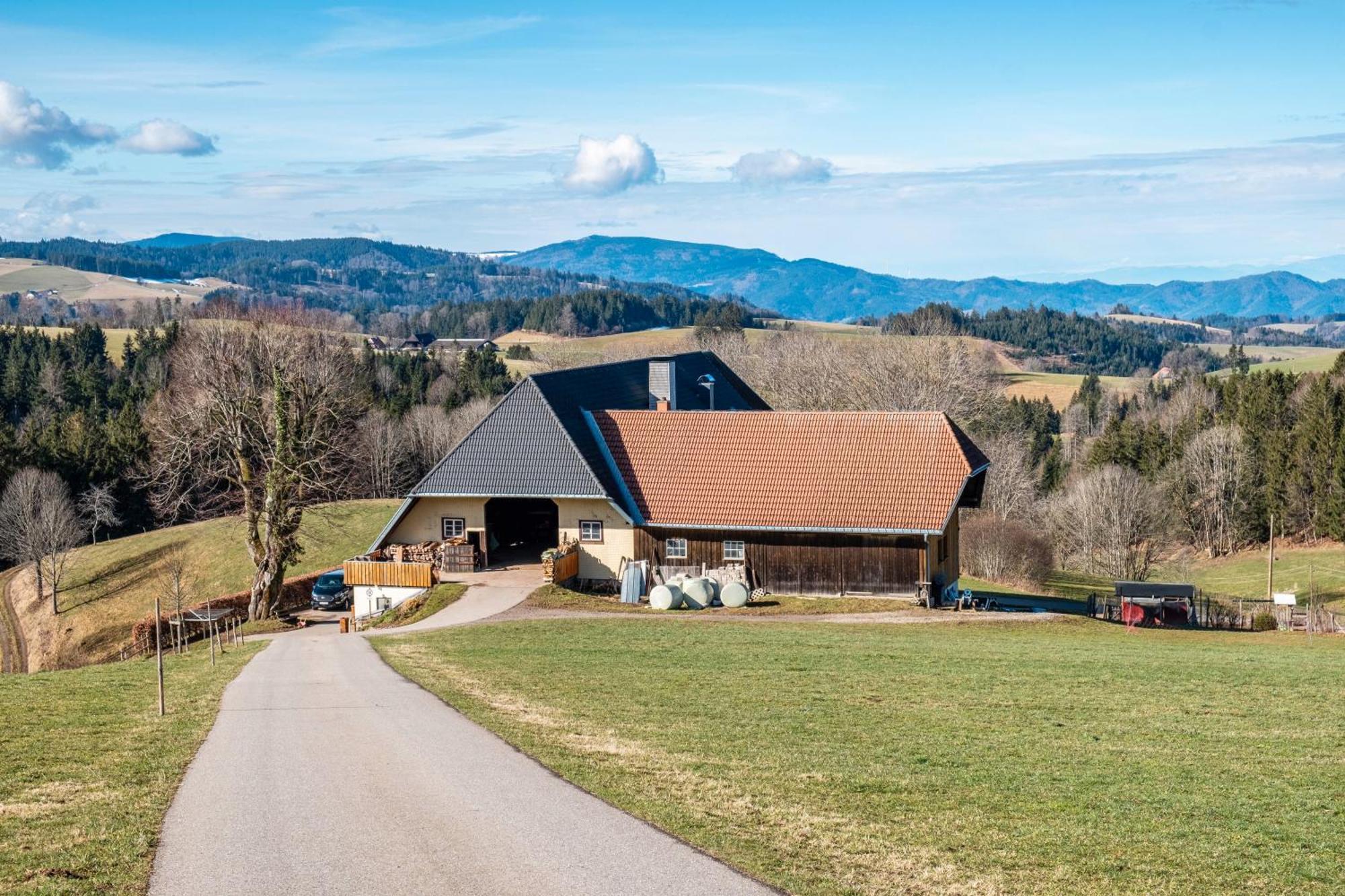 Brosihof Apartamento Erlenbach  Exterior foto